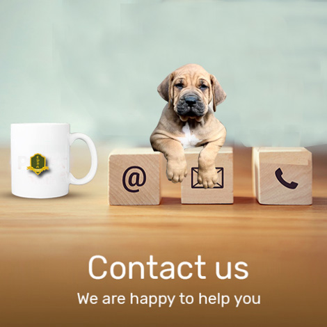 contact